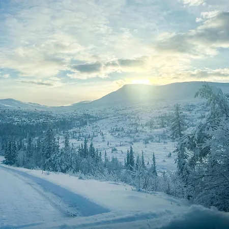 Dom wakacyjny Stunning In Fla With Sauna *