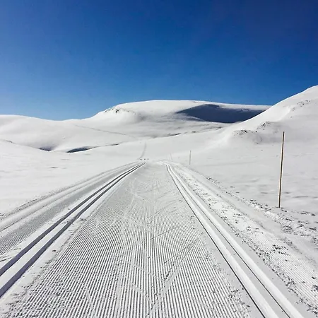 Dom wakacyjny Stunning In Fla With Sauna *
