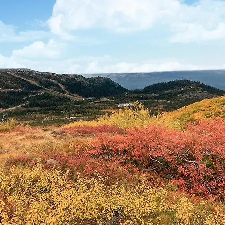 Stunning In Fla With Sauna Eggedal