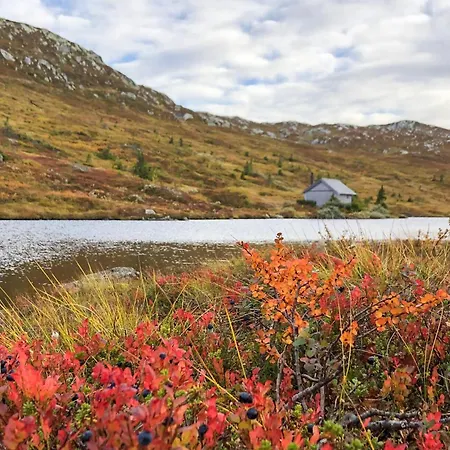 Stunning In Fla With Sauna