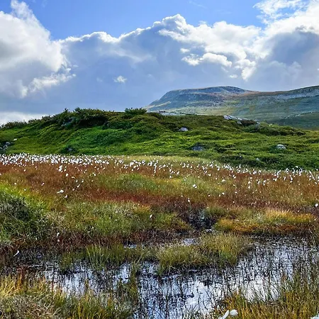 Dom wakacyjny Stunning In Fla With Sauna Eggedal