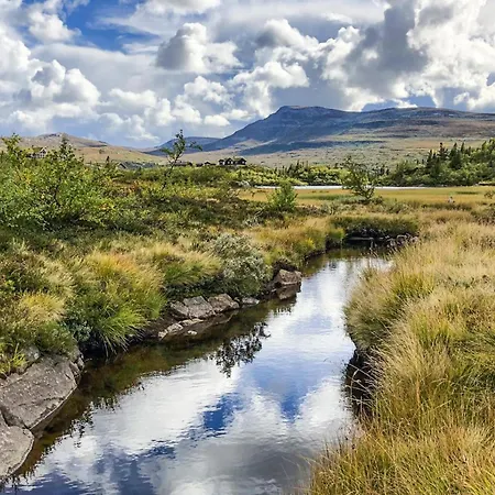 Stunning In Fla With Sauna *