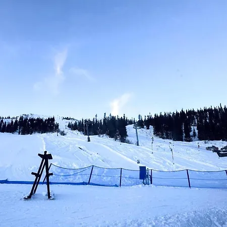 Stunning In Fla With Sauna