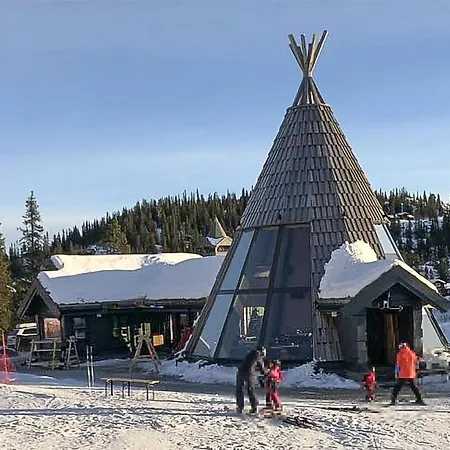 Stunning In Fla With Sauna Semesterbostad