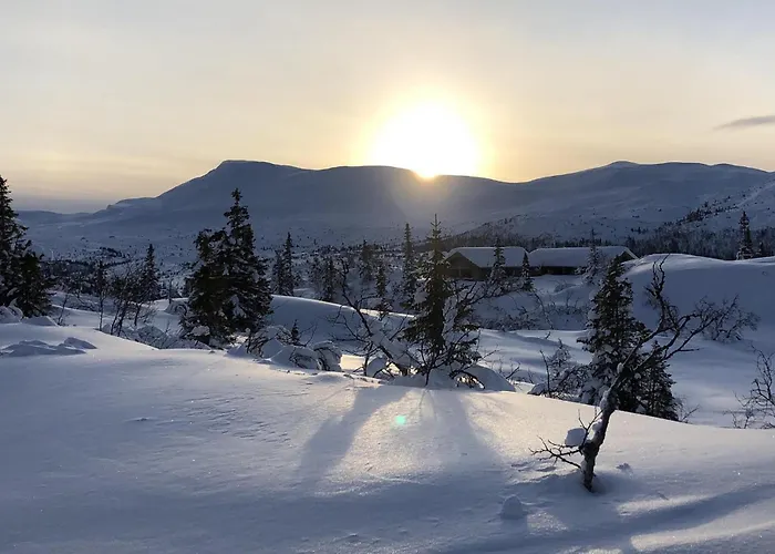Semesterbostad Stunning In Fla With Sauna Eggedal