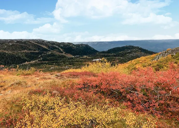 Stunning In Fla With Sauna Eggedal