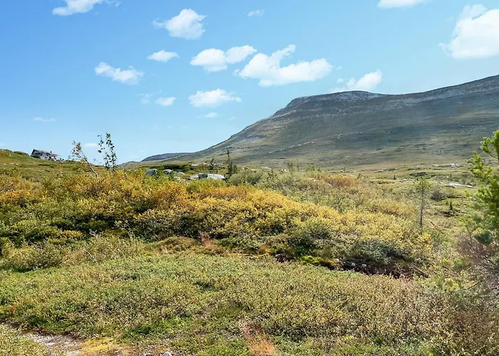 Stunning In Fla With Sauna * Eggedal