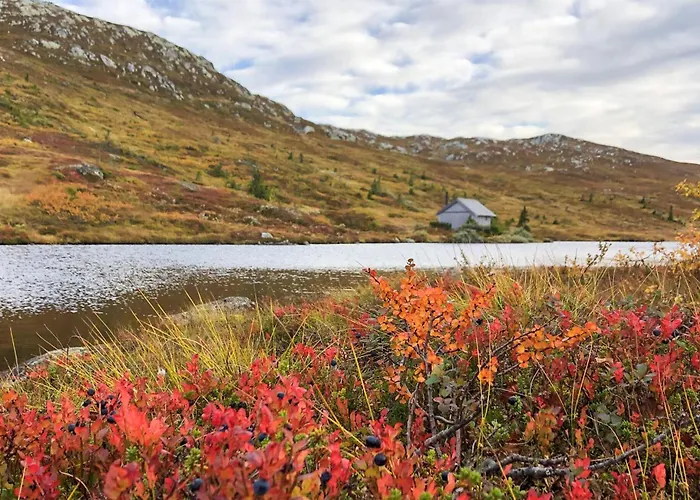 Stunning In Fla With Sauna