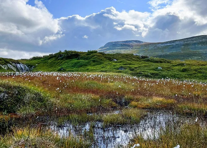 Semesterbostad Stunning In Fla With Sauna Eggedal