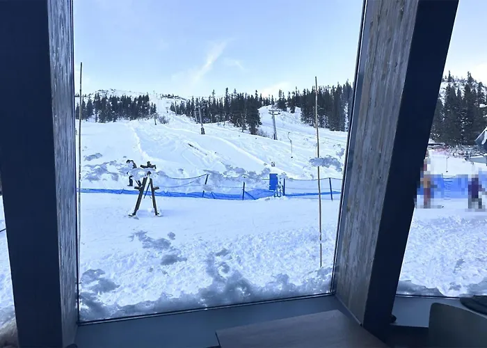 Stunning In Fla With Sauna Semesterbostad