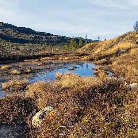 Stunning In Fla With Sauna Casa de Férias *