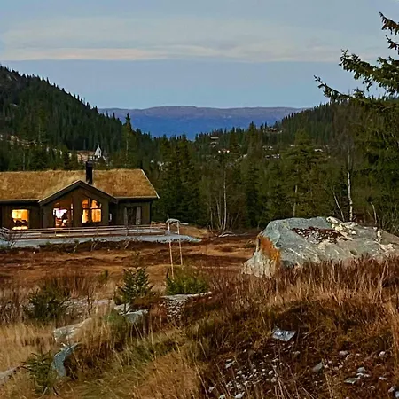 Stunning In Fla With Sauna *