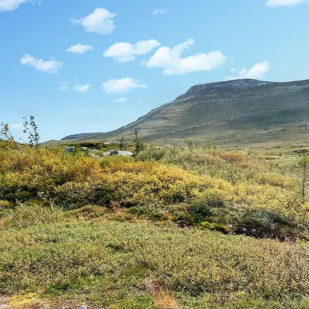 Stunning In Fla With Sauna * Eggedal